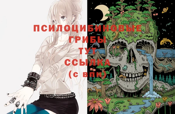 шишки Киреевск