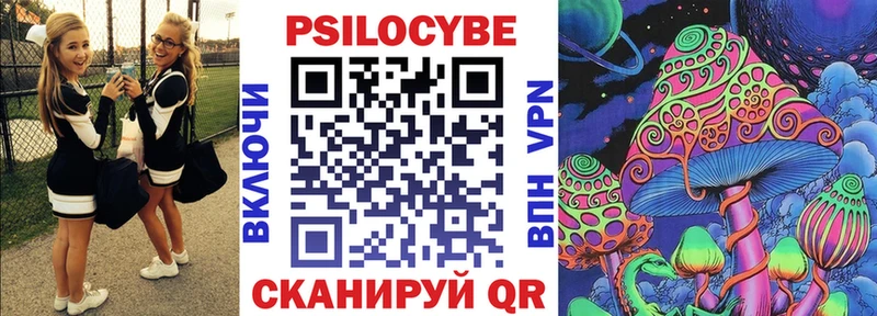 где купить наркоту  Волхов  Псилоцибиновые грибы ЛСД 