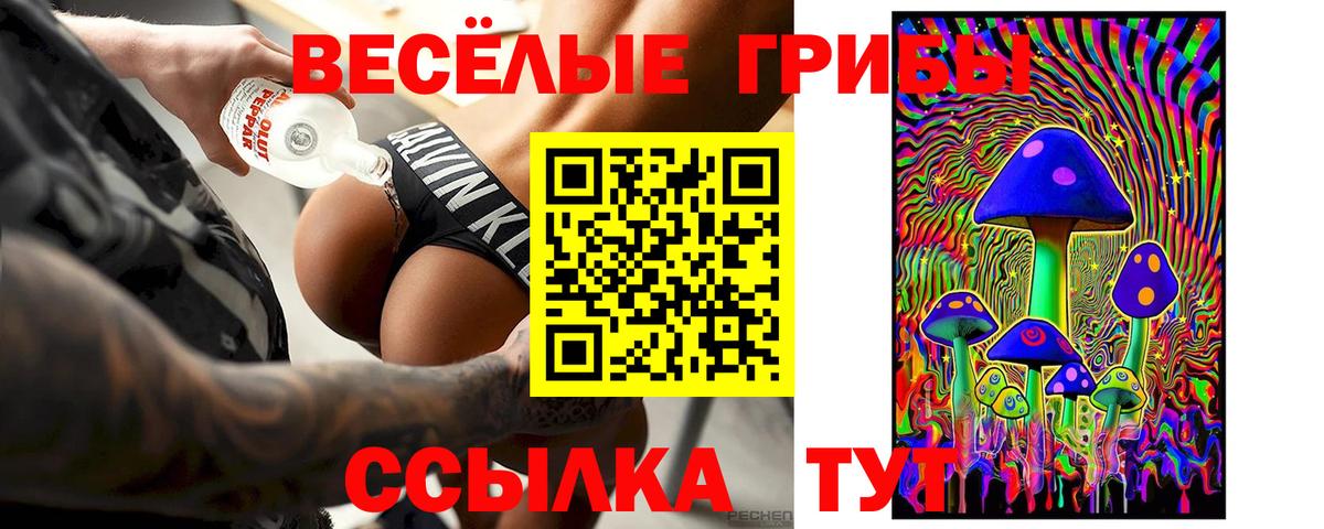 Галлюциногенные грибы мицелий  цены наркотик  Волхов  Псилоцибиновые грибы прущие грибы  Вход с VPN 