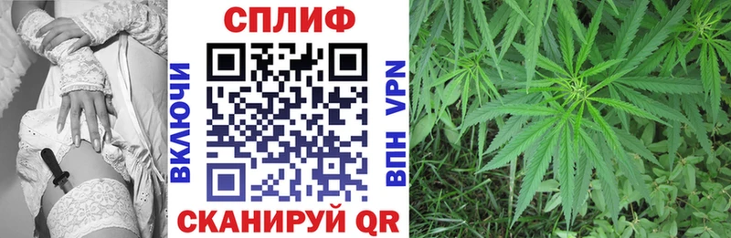 где купить   мега маркетплейс  Марихуана SATIVA & INDICA  Волхов 